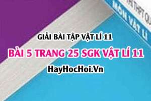 Giải bài 5 trang 25 SGK Vật lí 11